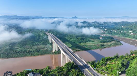 赤水河特大橋