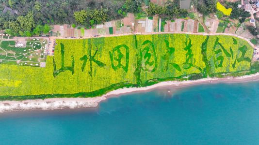 合江花田，長(zhǎng)江作伴