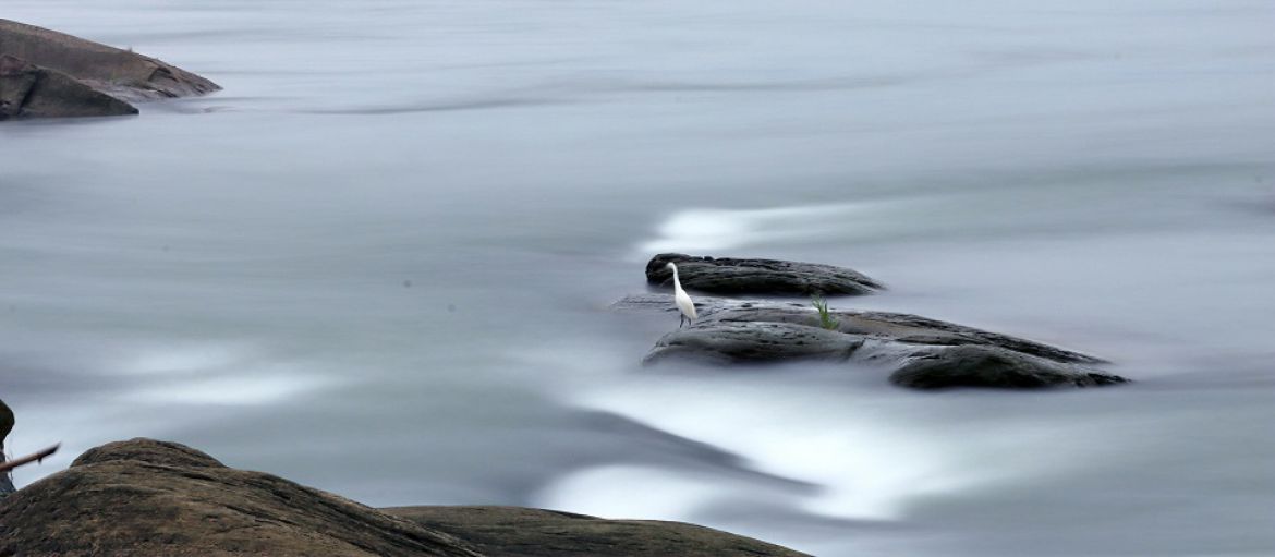 江瀾同脈.羽翼共棲