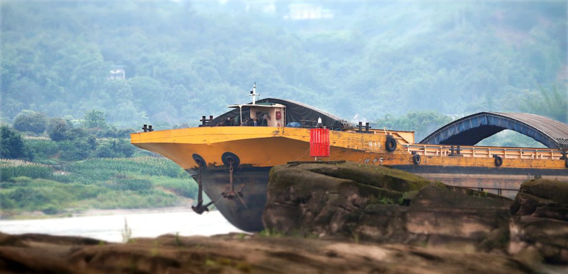 江瀾同脈.羽翼共棲